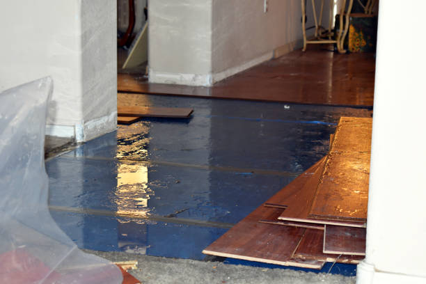 Professional Emergency Water Damage Restoration technician working in Cat Spring, TX